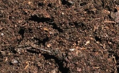 Community composting